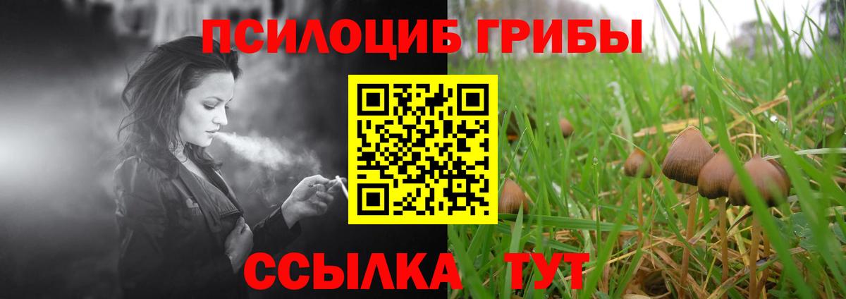 Галлюциногенные грибы GOLDEN TEACHER  Вход с VPN  Псилоцибиновые грибы мухоморы  Волхов 